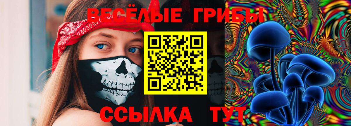 Каменск-Шахтинский  Галлюциногенные грибы мухоморы  Вход с VPN  Галлюциногенные грибы ЛСД 