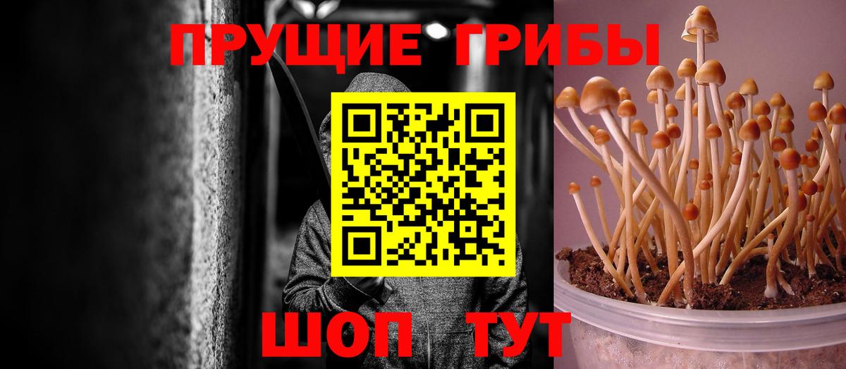 Псилоцибиновые грибы ЛСД Каменск-Шахтинский
